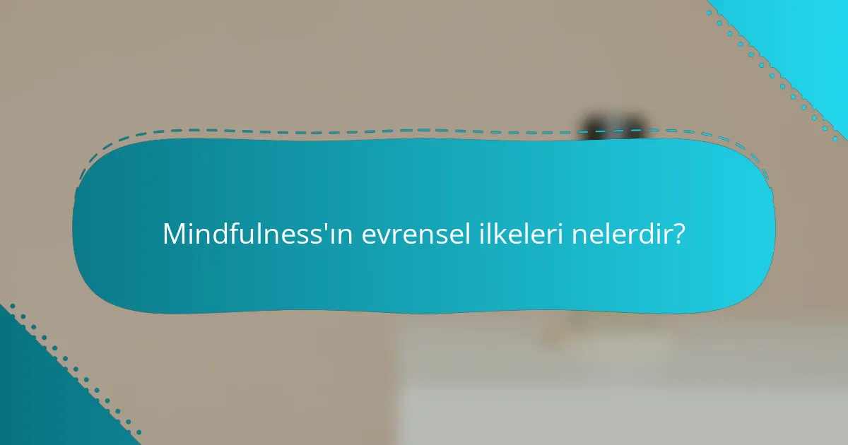 Mindfulness'ın evrensel ilkeleri nelerdir?
